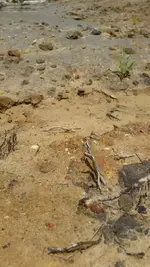 20170616_124002.webp