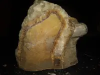 20170712_234759.webp