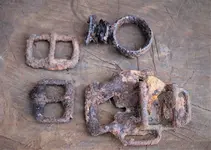 IMG_2090.webp IMG_2090.webp
