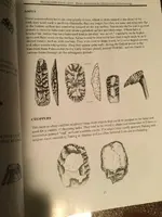 ImageUploadedByTreasureNet.com1502254381.076467.webp