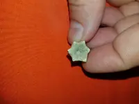 1501626781467.webp