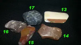 13.webp
