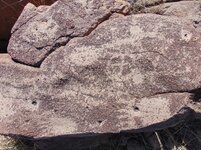 Petroglyphs Charleston Arizona 2017.jpg