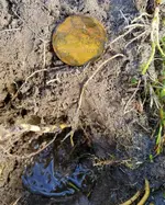20170705_084844.webp 20170705_084844.webp
