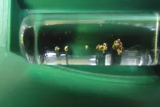 DSCF1409.webp