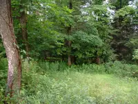 DSCF0003.webp