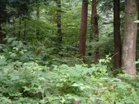 DSCF0006.webp