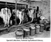 milk production.webp