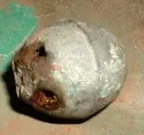 DSCF0001.webp
