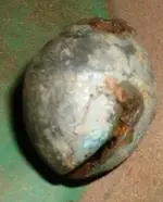 DSCF0004(1).webp