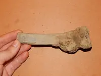 DSCN6738.webp