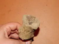DSCN6740.webp