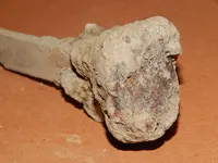 DSCN6741.webp