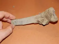 DSCN6742.webp