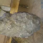 20170605_063046.webp