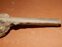 DSCN6743.webp