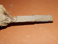 DSCN6744.webp
