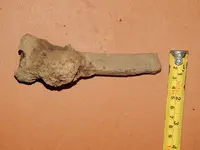 DSCN6746.webp