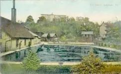 Bellefontespring1920searly.webp