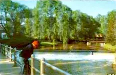 BELLEFONTESPRING CREEk1.webp
