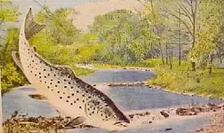 BellefonteSpring Creeka.webp