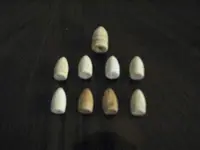 backyard bullets.webp