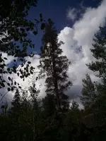 West_Central_CO_014_A.webp