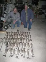 fish2.webp