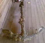 anchor.webp