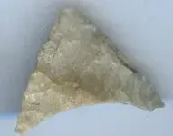 Arrowhead Single 1.webp