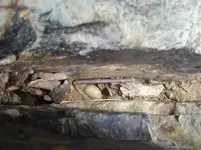 rusty nails 008.webp