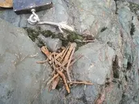 rusty nails 021.webp