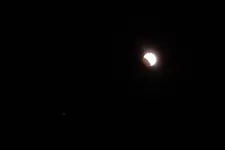 Picture 009 (2).webp