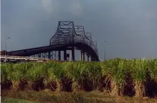 bridgesunshine.webp