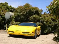 yellow 037 r.webp