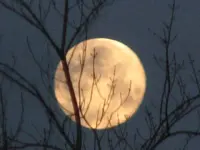 air bags, moon, red squirrel 006.webp
