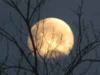 air bags, moon, red squirrel 009.webp