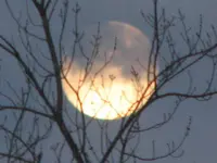 air bags, moon, red squirrel 012.webp