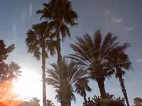 n135900029_30063253_1055.webp