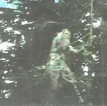 ghost.webp