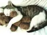 1 (2).webp