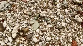 ImageUploadedByTreasureNet.com1496683737.381042.webp