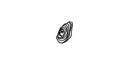 Untitled.webp