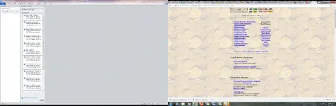 TreasureNet 11.16.1996.webp