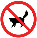 No-cats-58b73e505f9b58808049df52.webp No-cats-58b73e505f9b58808049df52.webp