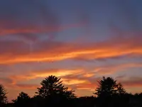 catchitory pink sunset 012.webp catchitory pink sunset 012.webp