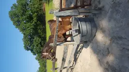20170610_093423.webp