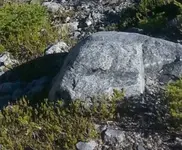 amarkerrock.webp