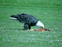 K1600_DSCN3382.webp