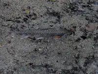 K1600_DSCN3687.webp